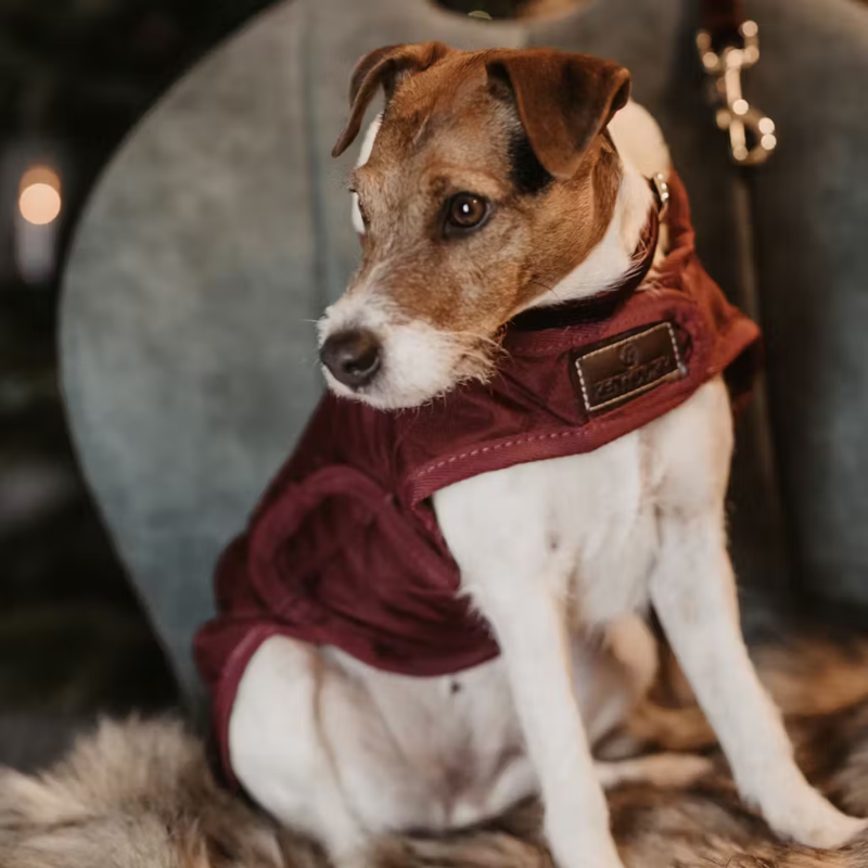 Kentucky Dog Coat - Bordeaux-2
