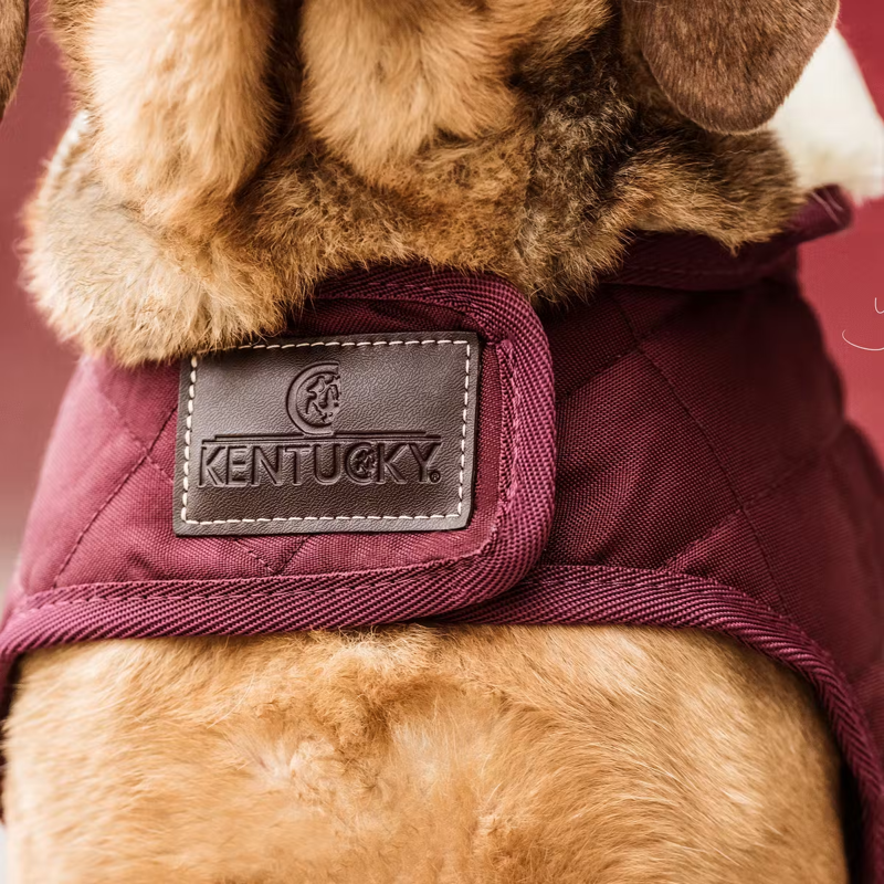 Kentucky Dog Coat - Bordeaux-4