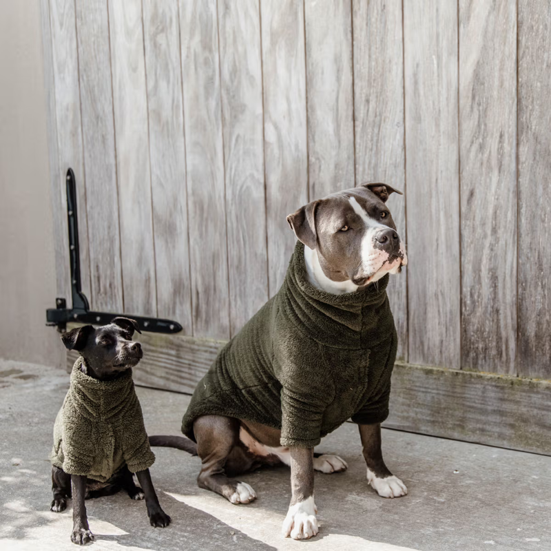 Kentucky Teddy Fleece Sweater Dog Rug - Pine Green-2