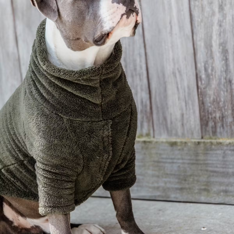 Kentucky Teddy Fleece Sweater Dog Rug - Pine Green-3
