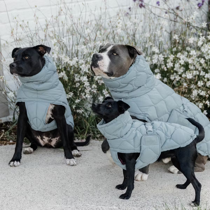 Kentucky Winter Pina Dog Coat - Dusty Blue-1