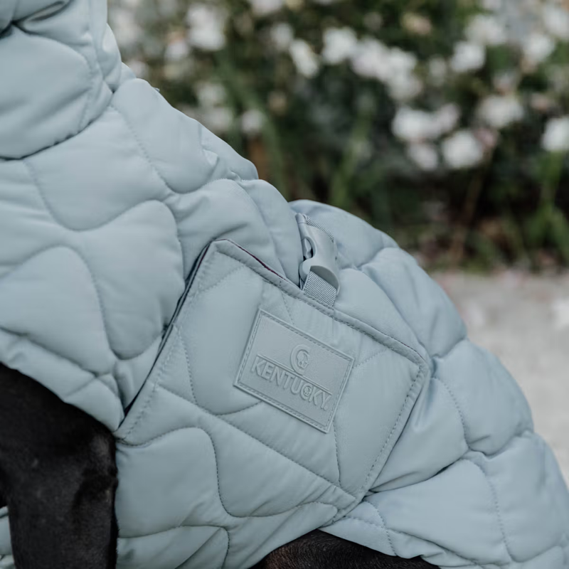 Kentucky Winter Pina Dog Coat - Dusty Blue-2