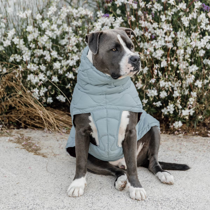 Kentucky Winter Pina Dog Coat - Dusty Blue-3