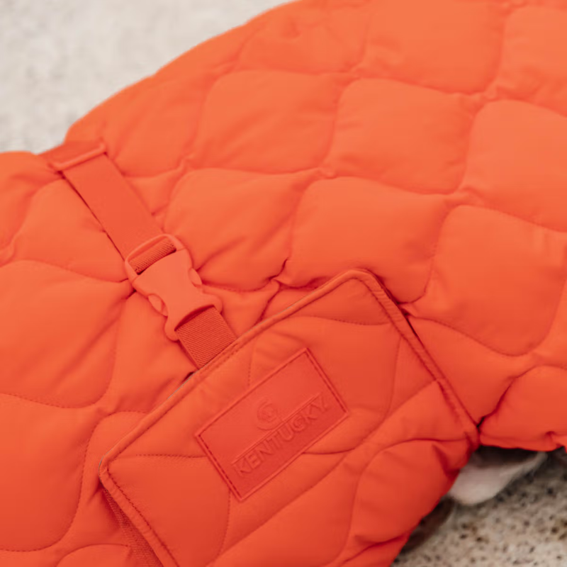 Kentucky Winter Pina Dog Coat - Orange-2