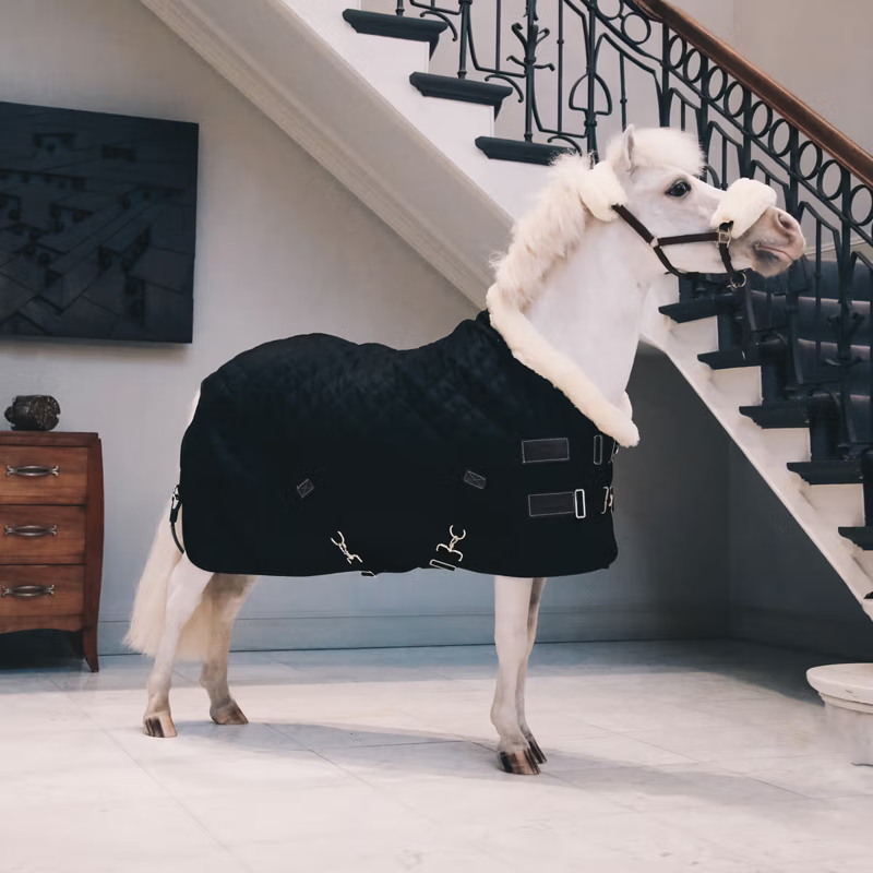 Kentucky Show Rug - Black-2