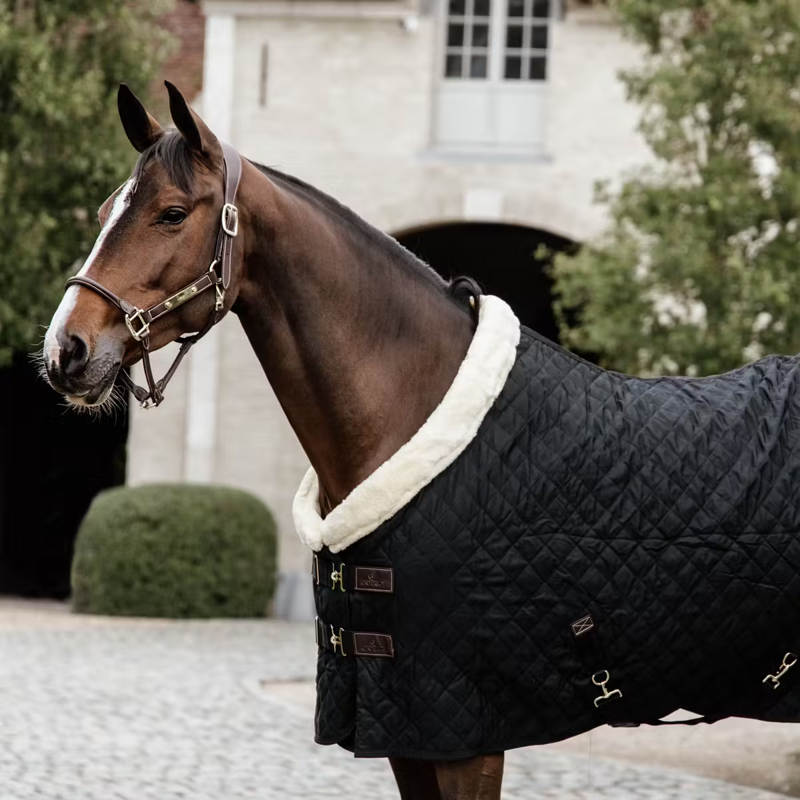 Kentucky Show Rug - Black-1