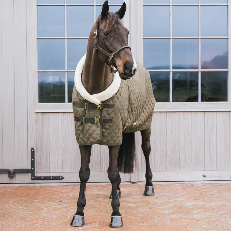 Kentucky Show Rug - Khaki-1