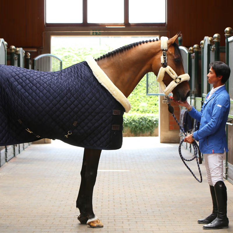 Kentucky Show Rug - Navy-1