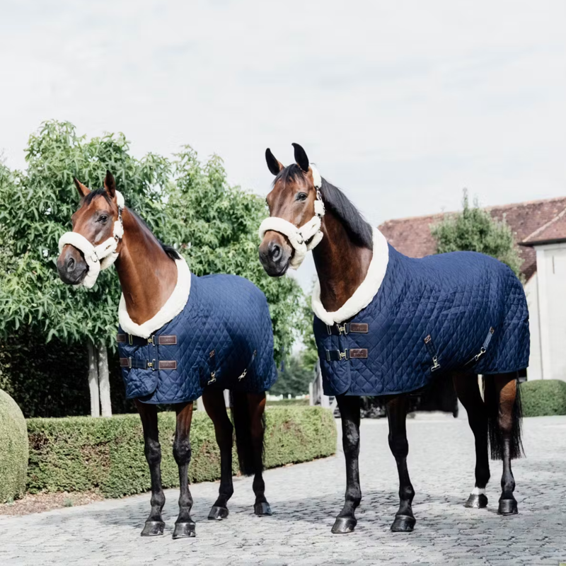 Kentucky Show Rug - Navy-2