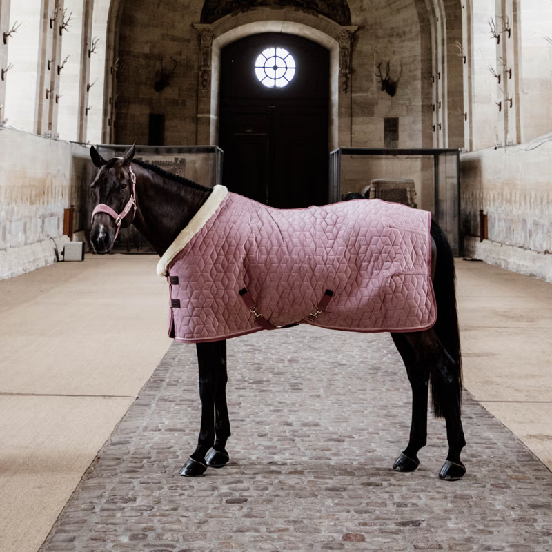 Kentucky Velvet Show Rug - Old Rose-2