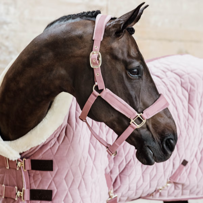Kentucky Velvet Show Rug - Old Rose-3
