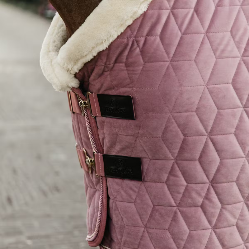 Kentucky Velvet Show Rug - Old Rose-5