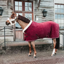 Kentucky Velvet Show Rug - Bordeaux