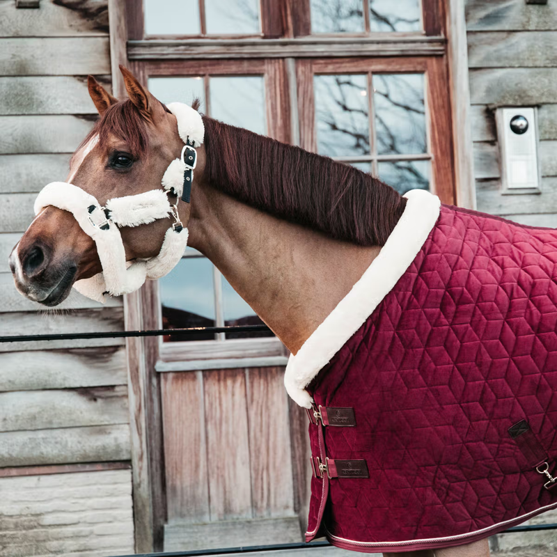 Kentucky Velvet Show Rug - Bordeaux-1