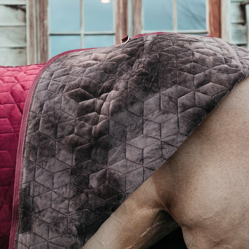 Kentucky Velvet Show Rug - Bordeaux-3