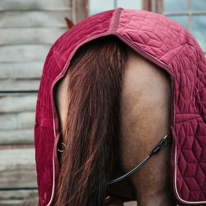 Kentucky Velvet Show Rug - Bordeaux-4