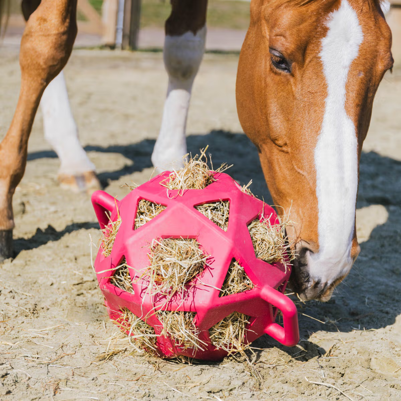 Kentucky Relax Horse Play Hay Ball - Pink-2