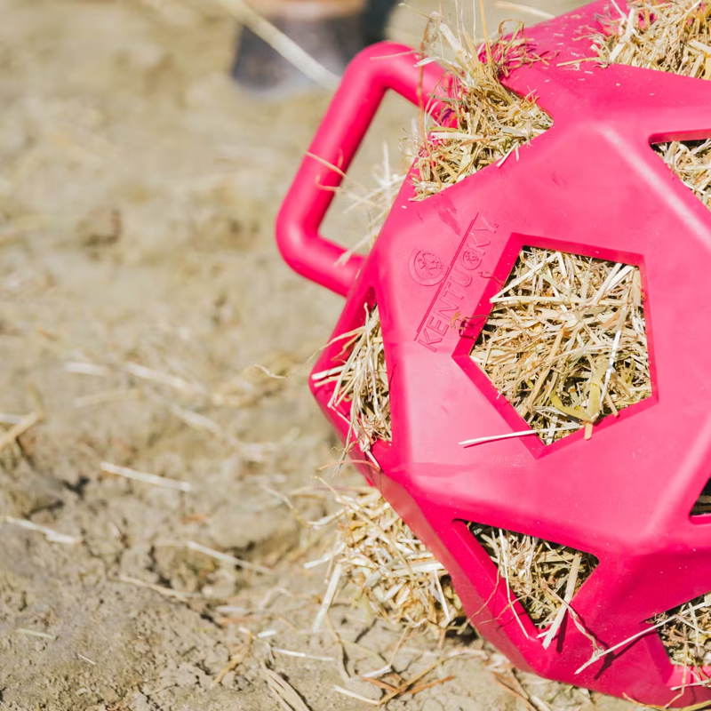 Kentucky Relax Horse Play Hay Ball - Pink-3
