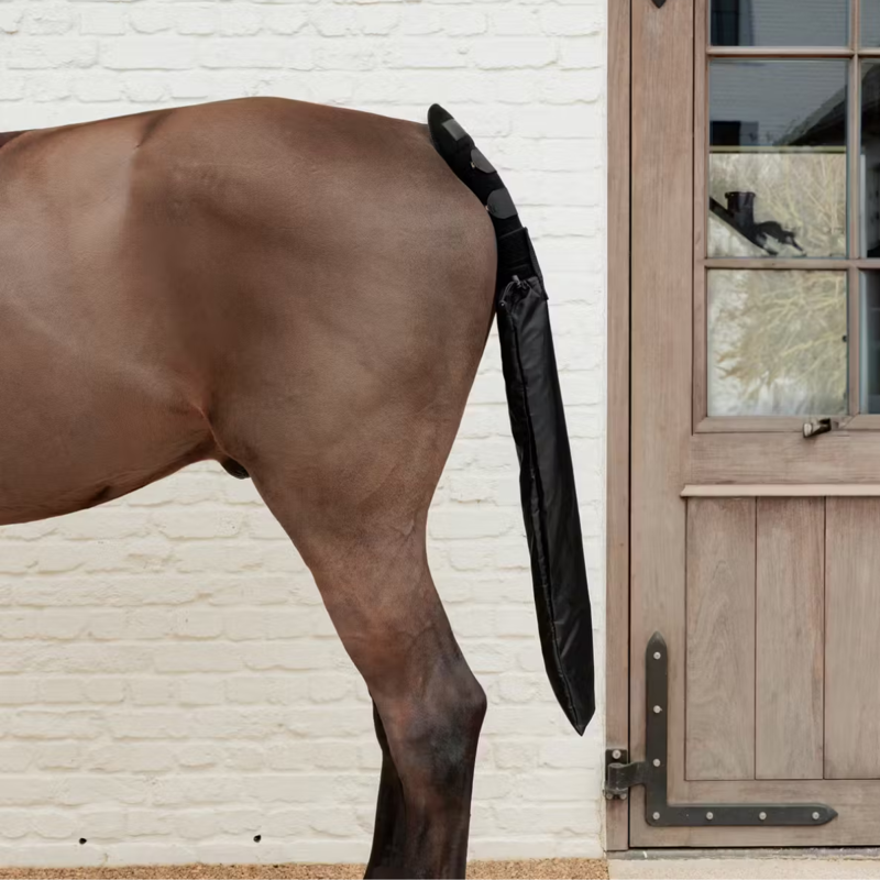 Kentucky Tailguard and Bag-3
