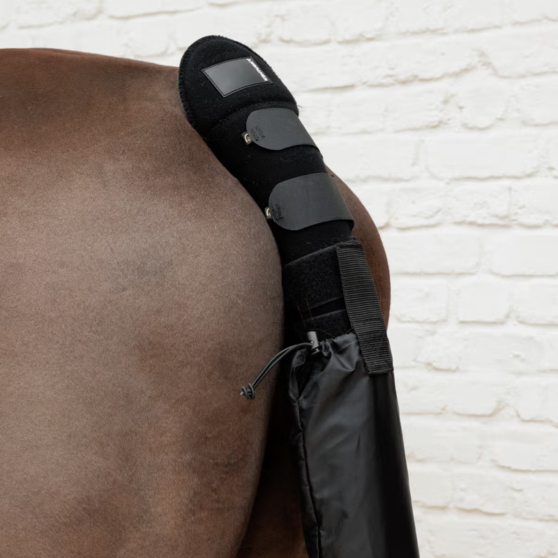 Kentucky Tailguard and Bag-1