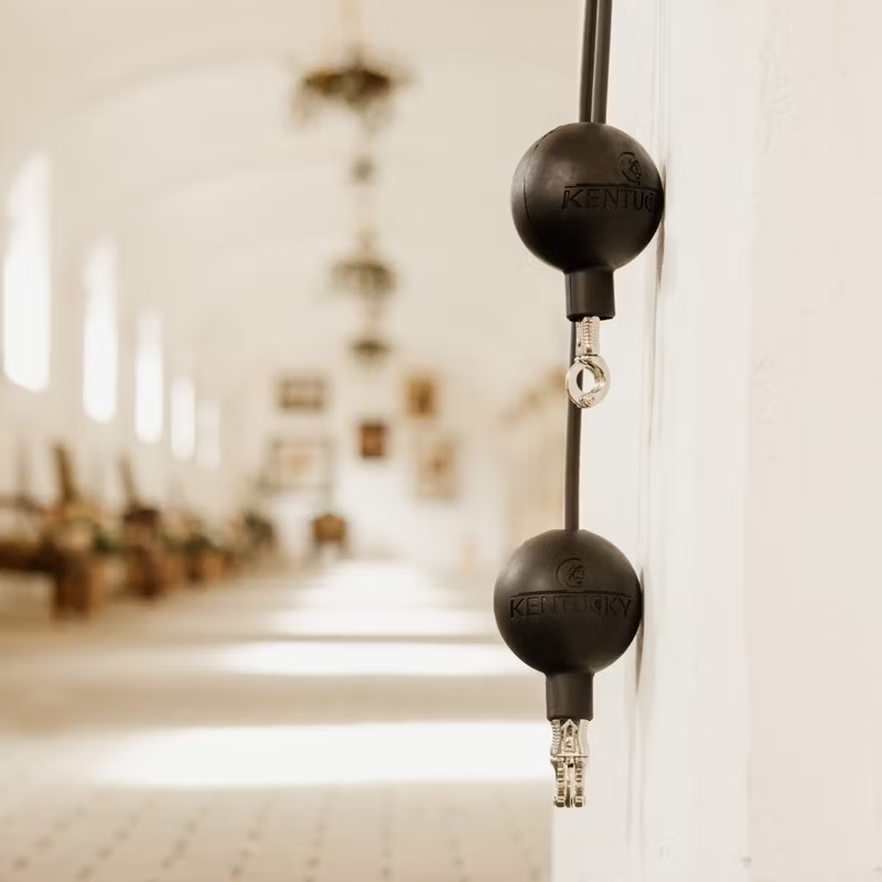 Kentucky Lead and Wall Protection Rubber Ball - Black-2