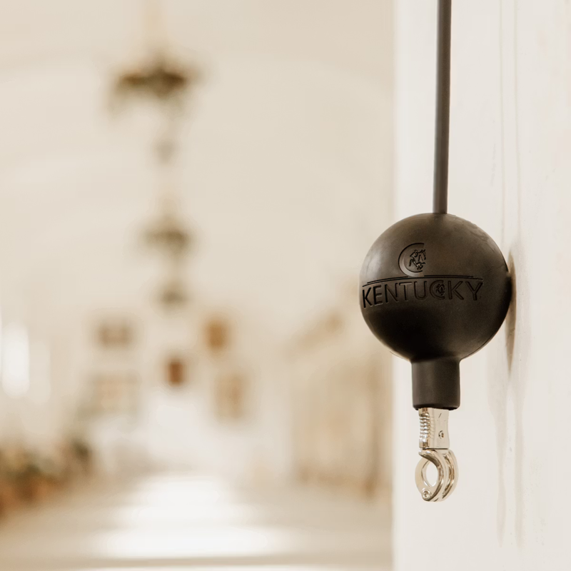 Kentucky Lead and Wall Protection Rubber Ball - Black-3
