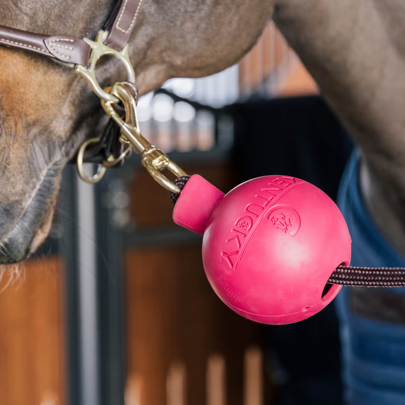 Kentucky Lead and Wall Protection Rubber Ball - Pink-1