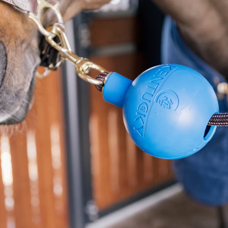 Kentucky Lead and Wall Protection Rubber Ball - Royal Blue-1