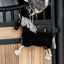 Kentucky Relax Horse Toy Pony - Black