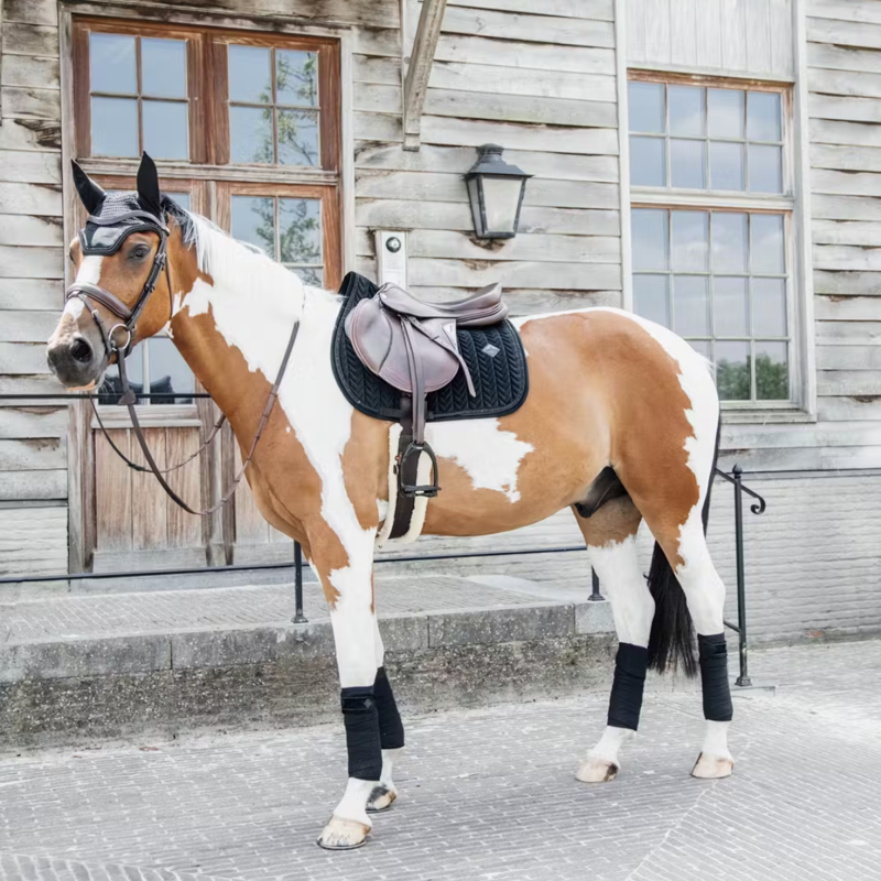 Kentucky Velvet Pearls Jumping Saddlepad - Black-4