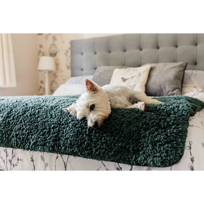 Pet Rebellion Comfy Cover - Green -2