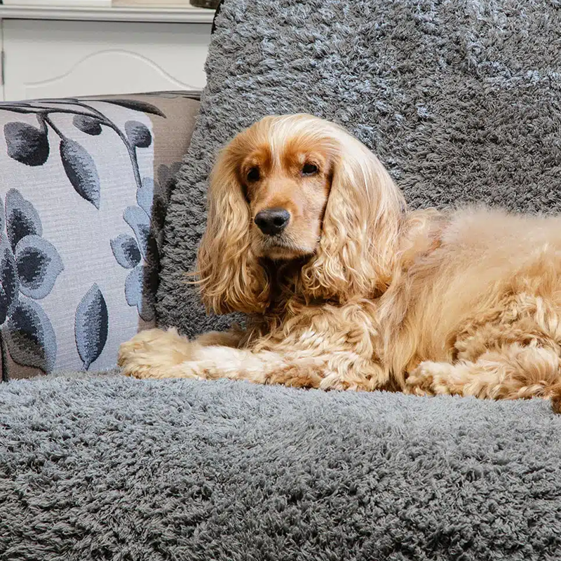 Pet Rebellion Comfy Cover - Grey -1