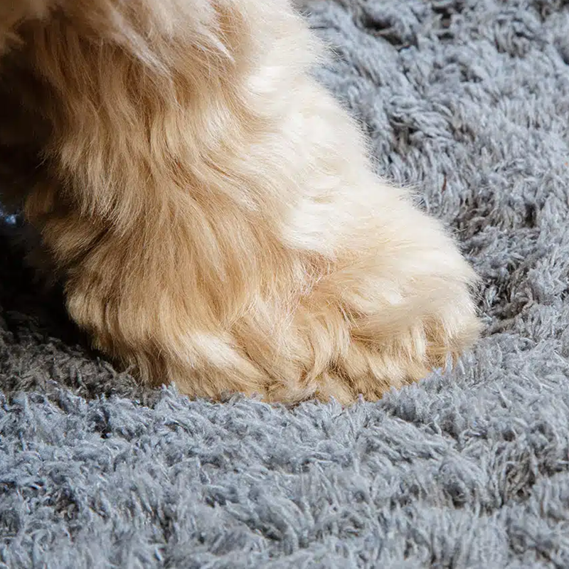 Pet Rebellion Comfy Cover - Grey -5