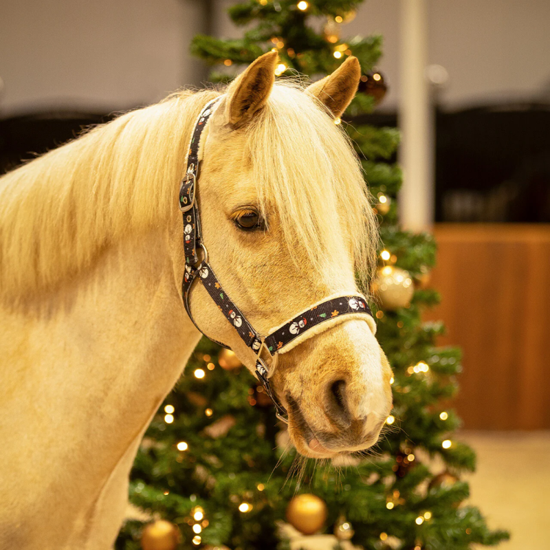 QHP Christmas Snowman Headcollar-1