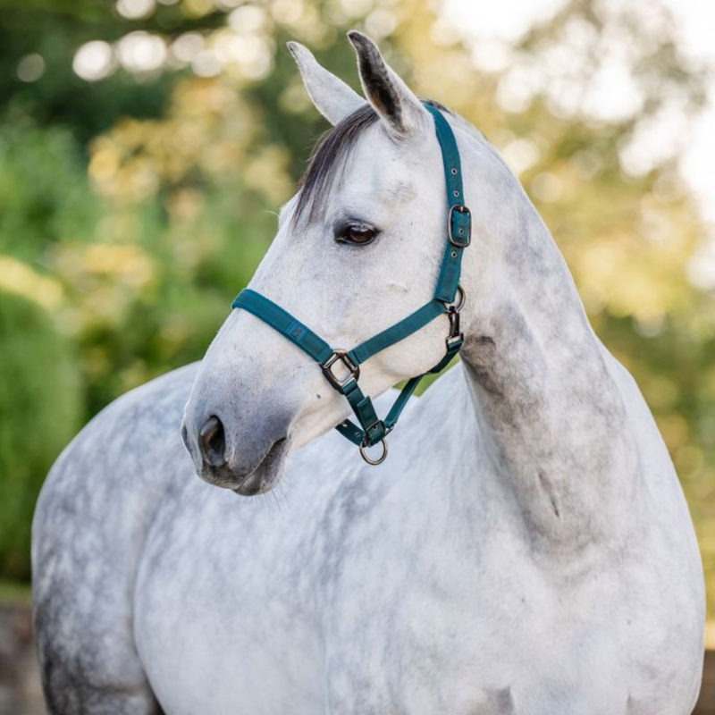 Horseware Headcollar and Leadrope - Dynasty Green