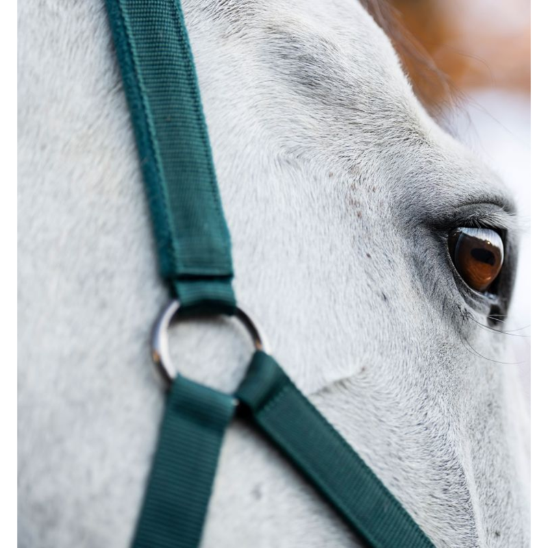 Horseware Headcollar and Leadrope - Dynasty Green-1