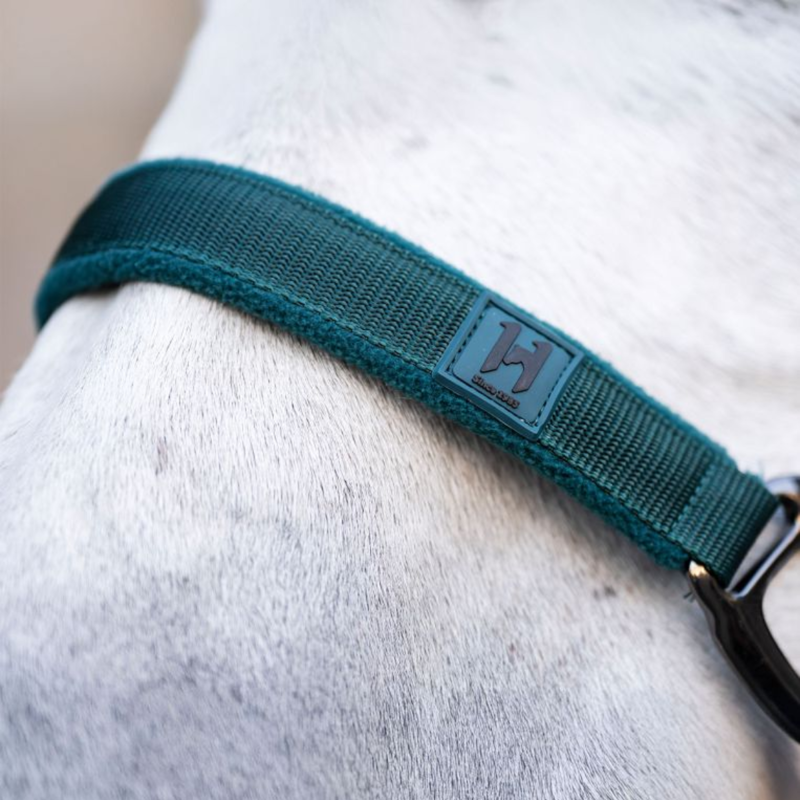 Horseware Headcollar and Leadrope - Dynasty Green-2