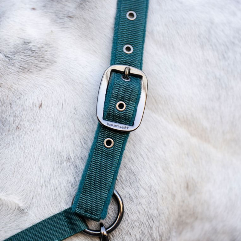 Horseware Headcollar and Leadrope - Dynasty Green-3