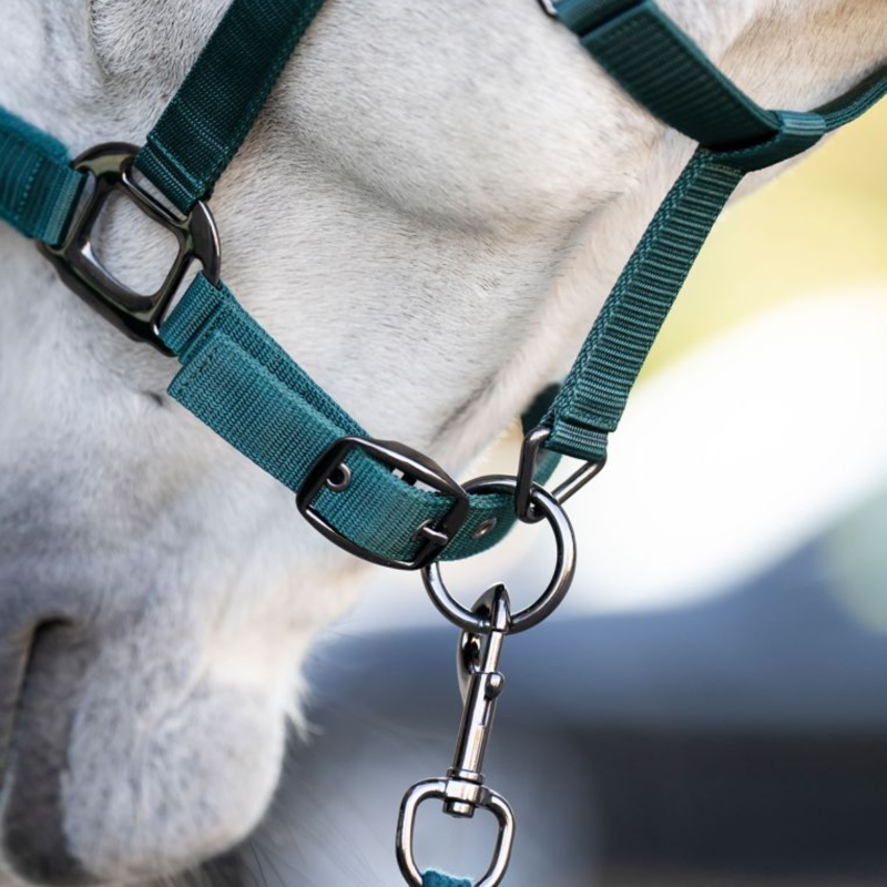 Horseware Headcollar and Leadrope - Dynasty Green-4