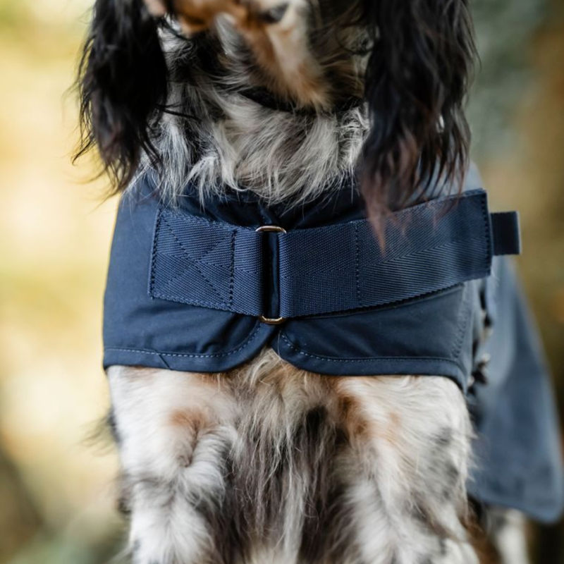 Horseware Newmarket Heritage Dog Coat - Navy/Witney Navy-1