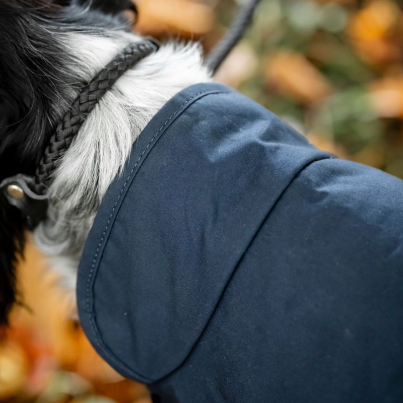 Horseware Newmarket Heritage Dog Coat - Navy/Witney Navy-2