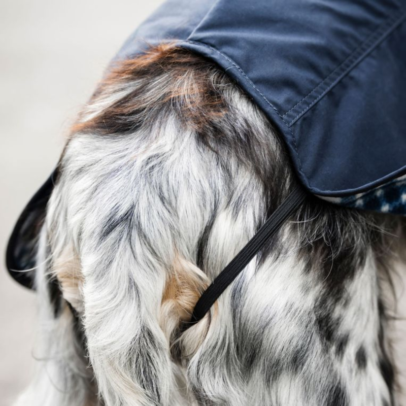 Horseware Newmarket Heritage Dog Coat - Navy/Witney Navy-8