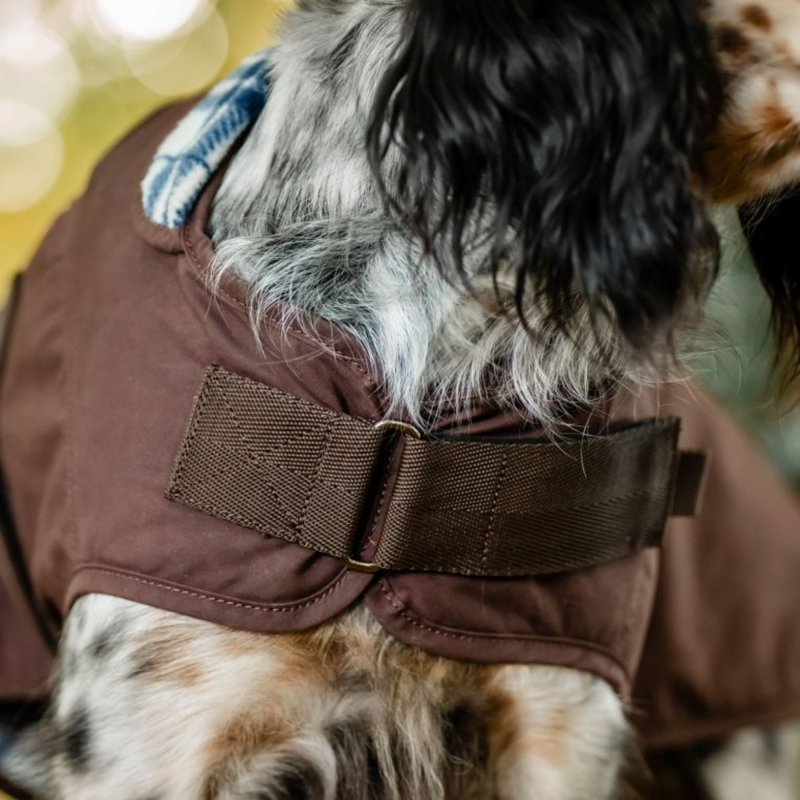 Horseware Newmarket Heritage Dog Coat - Brown/Witney Navy-1