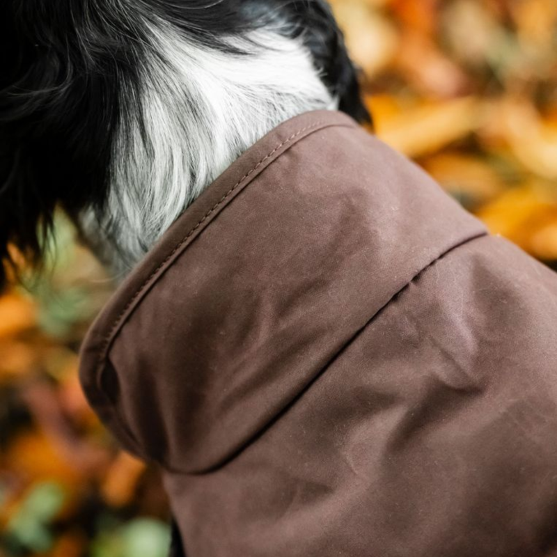 Horseware Newmarket Heritage Dog Coat - Brown/Witney Navy-2