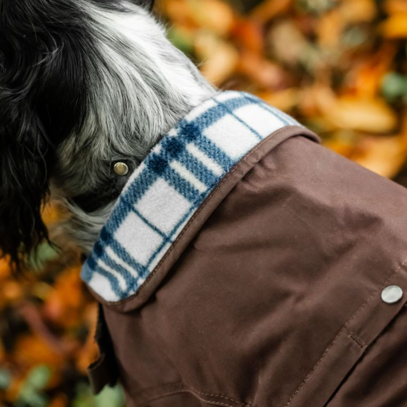 Horseware Newmarket Heritage Dog Coat - Brown/Witney Navy-3