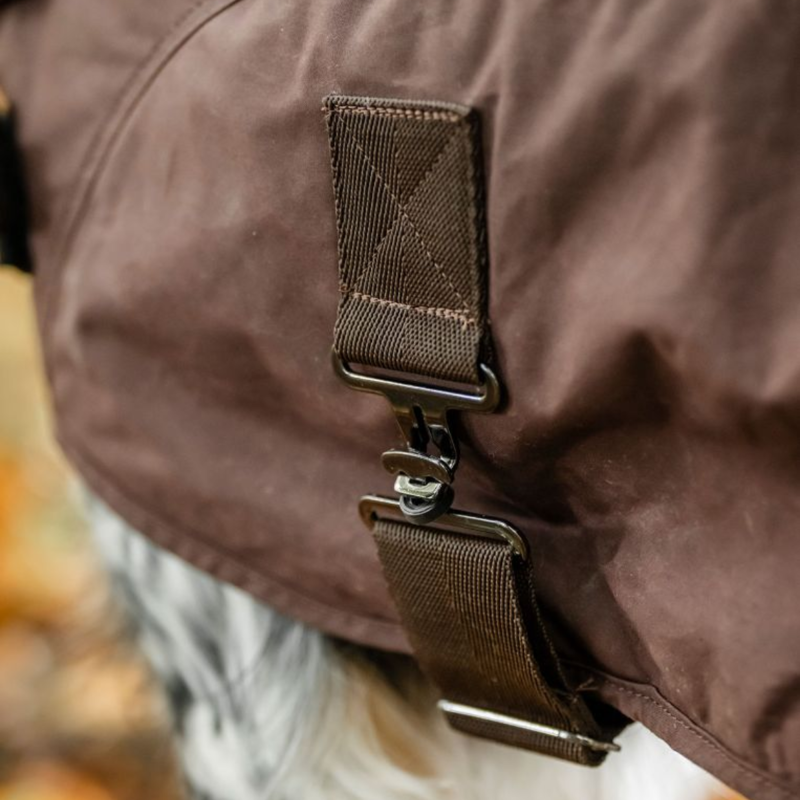 Horseware Newmarket Heritage Dog Coat - Brown/Witney Navy-5