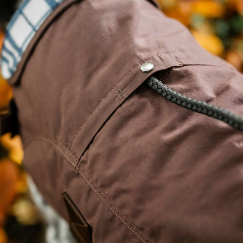 Horseware Newmarket Heritage Dog Coat - Brown/Witney Navy-6