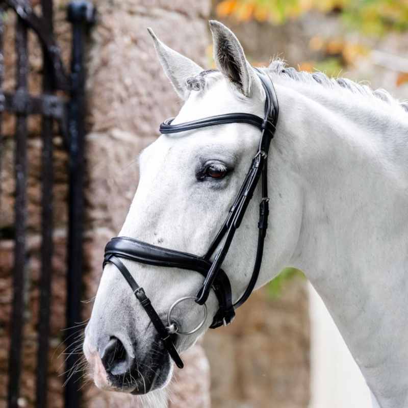 Horseware Dressage Flash Bridle - Black-1