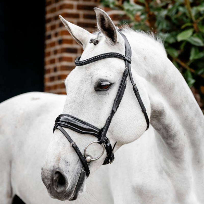 Horseware Diamante Flash Bridle - Black/Black-1