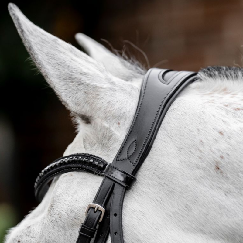 Horseware Diamante Flash Bridle - Black/Black-2